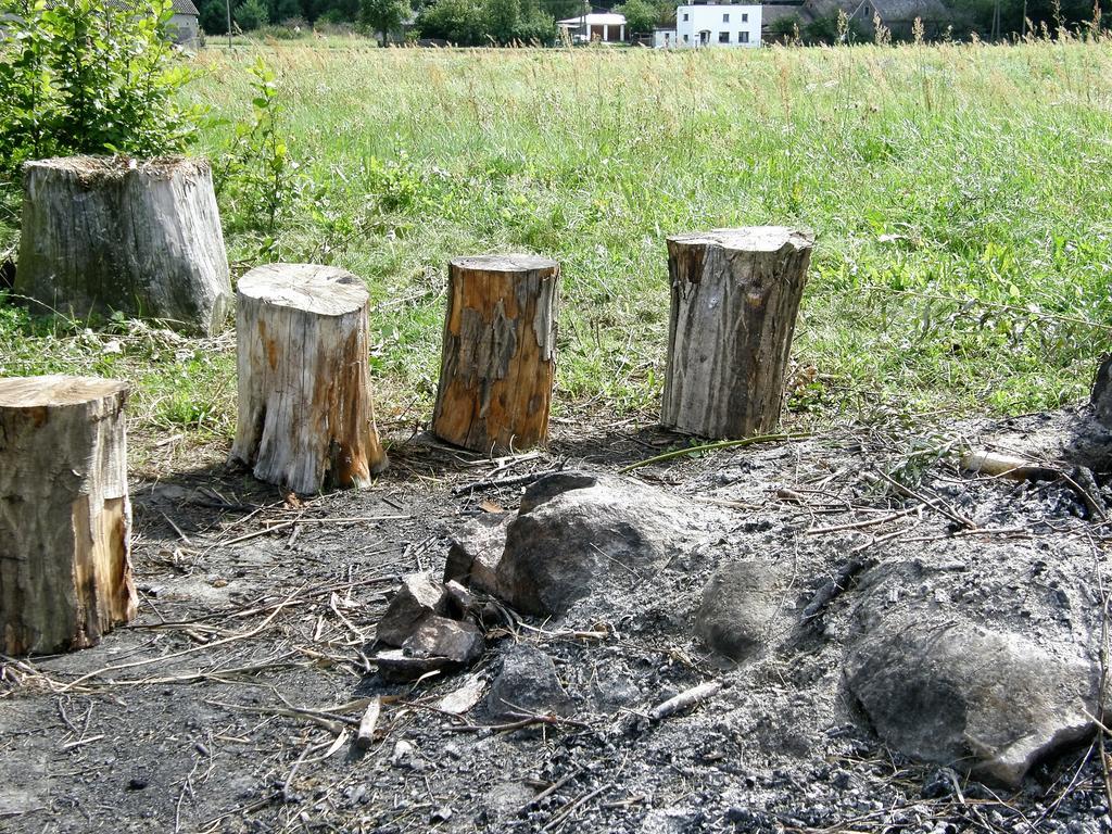 Agroturystyka "Bociek" Bełk Eksteriør bilde