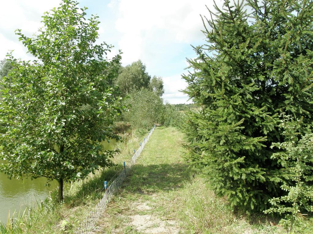 Agroturystyka "Bociek" Bełk Eksteriør bilde